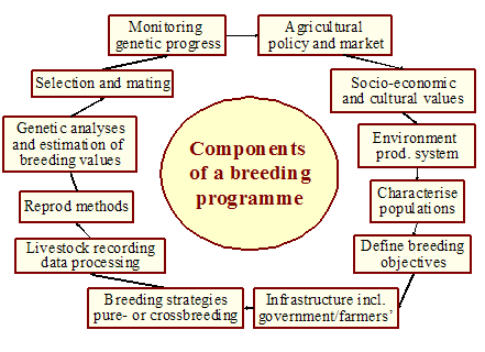 Developing the breeding programme | Animal Genetics Training Resources